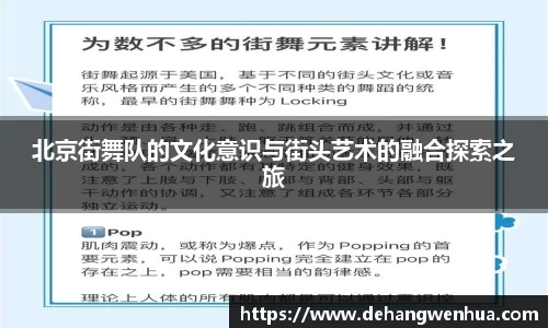 北京街舞队的文化意识与街头艺术的融合探索之旅